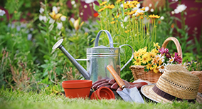 spring lawn care Lowell, AZ